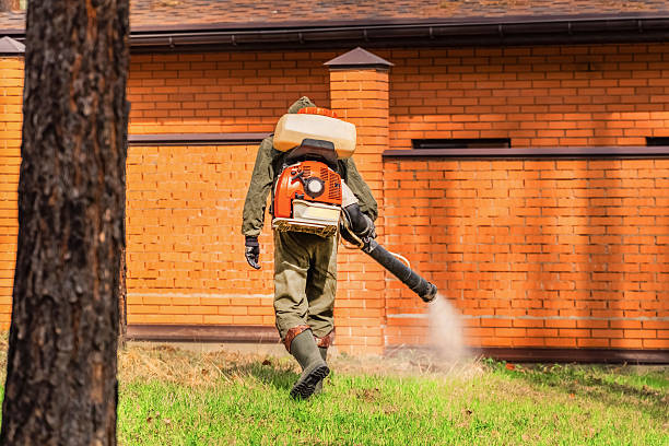 Cockroach Follow-Up and Monitoring in Villas